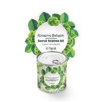 BUFFER® Konserve Bahçem Evde Konservede İri Yapraklı Kıvırcık Yetiştirme Kiti