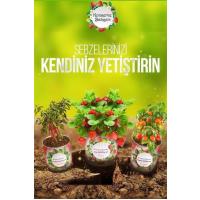 BUFFER® Konserve Bahçem Evde Konservede İri Yapraklı Roka Yetiştirme Kiti