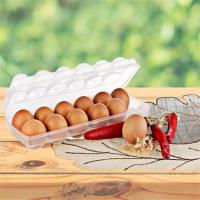 Petinka 12li Şeffaf Kapaklı Kilitli Yumurta Saklama Kabı Kutusu Aparatı