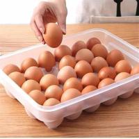 Petinka 30lu Yumurta Saklama Kabı