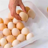 Petinka 30lu Yumurta Saklama Kabı