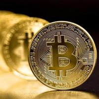 Petinka Bitcoin Madeni Hatıra Parası Madeni Bitcoin Hediye Sikke Para