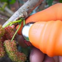 Petinka Silikon Parmak Koruyucu Meyve Toplama Aracı Bahçe Kesme Bıçak Eldiven
