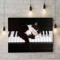 Piyano Ve Kedi PiMarks Kanvas Tablo 27