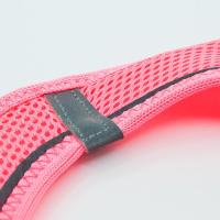Airmesh Neon&Pembe XSmall Tailpetz Göğüs Tasması 