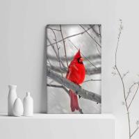 Kırmızı Kardinal Kuşu PiMarks Kanvas Tablo 34