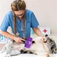BUFFER®  Otomatik Temizlenebilen Tuşlu Pratik Kedi Köpek Tüy Toplama Fırçası