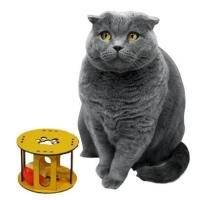 Petİnka® Ahşap Kafes Renkli Toplu Kedi Patisi Desenli Sesli Kedi Oyuncağı