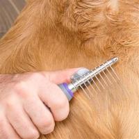 Petİnka® Düğüm Açıcı Pet Fırçası Emniyetli Uzun ve Çelik Dişli Kedi Köpek Tüy Kıtık Açma Tarağı