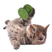 Petİnka®  Mini Silindir Eğlenceli Renkli Sağlam Küçük Pati İzi Şekilli Kedi Oyuncağı