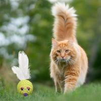 Petİnka®  Renkli Hasır  Tüylü Oyun Topu (Catnipli) İlgi Çekici Eğlenceli  Eğitici Evcil Hayvan Oyuncağı
