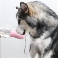 Petİnka® Taşınabilir Evcil Hayvan Suluğu Seyahat Kabı Kilitlenebilen Su Sızdırmaz Kap 350 ml