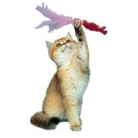 Petİnka® Tüylü Püsküllü Kedi Oyuncağı Dikkat Çekici Renkli Sevimli Evcil Hayvan Oyuncağı