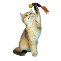 Petİnka® Yumuşacık İpli Tırtıl Şeklinde Rengarenk Sevimli Evcil Hayvan Oyuncağı