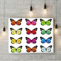 Renkli Kelebekler PiMarks Kanvas Tablo 25